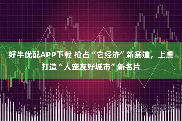 好牛优配APP下载 抢占“它经济”新赛道，上虞打造“人宠友好城市”新名片