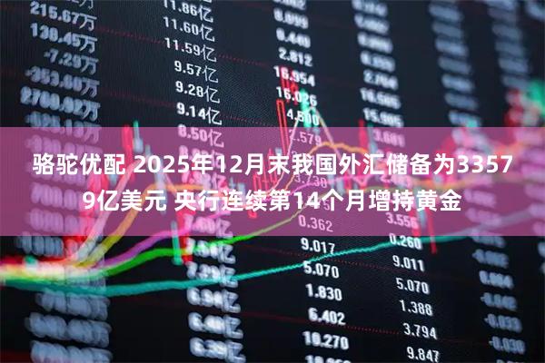 骆驼优配 2025年12月末我国外汇储备为33579亿美元 央行连续第14个月增持黄金